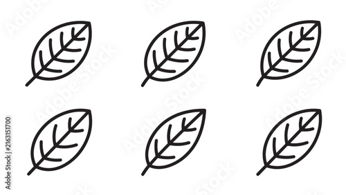 Set of simple outline leaf vector illustrations with botanical greenery illustration collection handdrawn minimalist environment isolated silhouette
