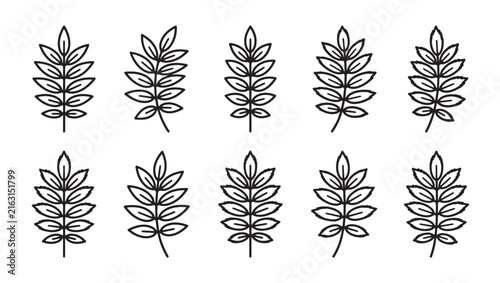 Set of line art botanical leaves branches vector illustration with botanical illustration collection handdrawn minimalist environment greenery isolated silhouette