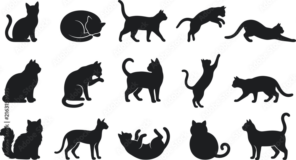 Fototapeta premium Collection of various black cat poses isolated on a white background for a spooky and festive halloween cat themed silhouette