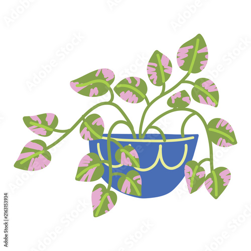 Cute hand drawn potted houseplant with pink patterned leaves illustration