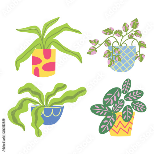 Colorful hand drawn potted potted plants set, cute house plants collection