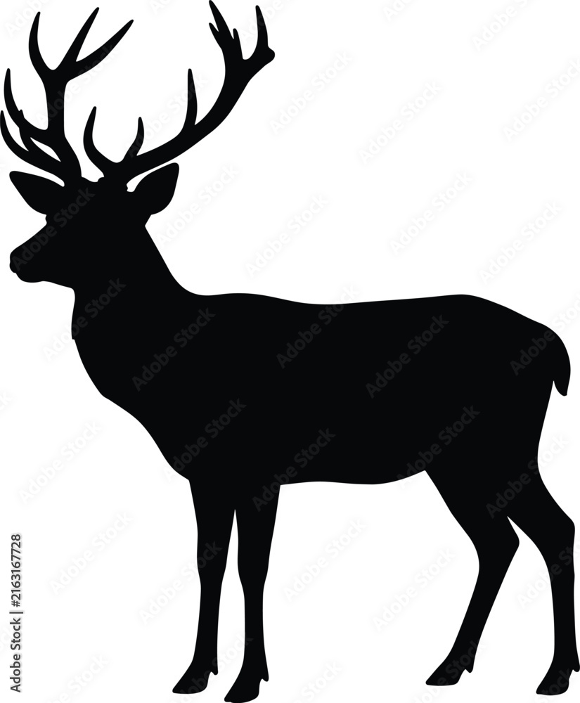 Fototapeta premium Elegant black silhouette of standing deer with large branching antlers isolated on white background for wildlife design