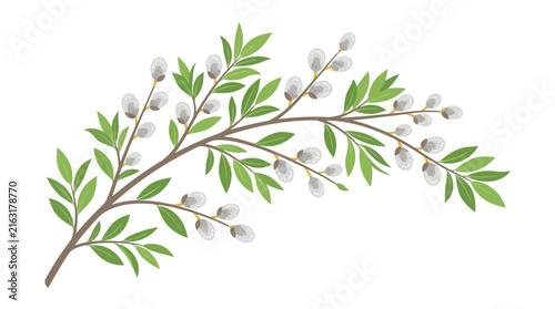 Adobe Illustrator Artwork
