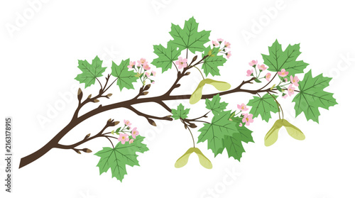 Adobe Illustrator Artwork