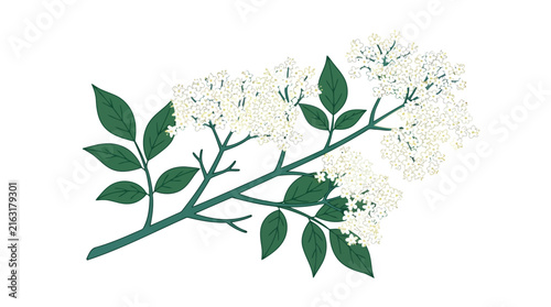 Adobe Illustrator Artwork