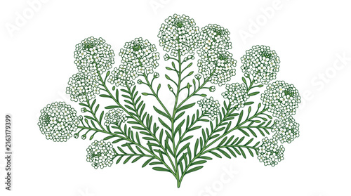Adobe Illustrator Artwork