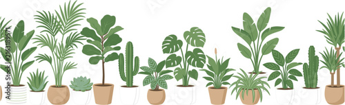 Potted indoor houseplant vector horizontal banner with monstera palm cactus fiddle leaf fig and peace lily for home decor