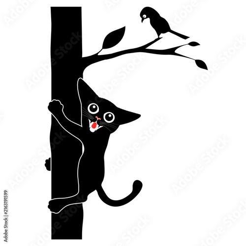 Playful kitten hiding and peeping