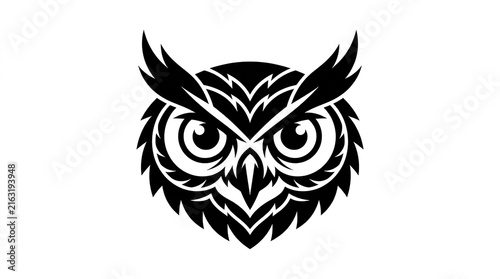 Stylized minimalist owl head graphic vector illustration facing forward with sharp geometric feathers with intricate stylized feather contrast black white