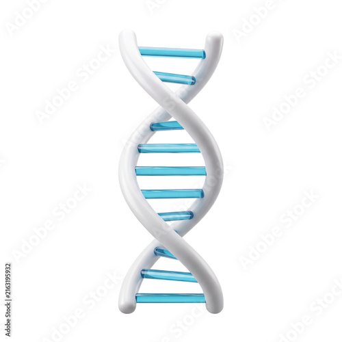 Фотография 3D DNA double helix model with blue and white structure