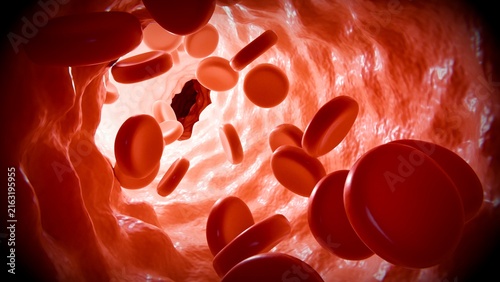 Red blood cells in an artery or blood vessel , flow inside body, medical human health-care. 3D Rendering.Blood cells in motion within an artery, showcasing scientific research, cardiovascular health