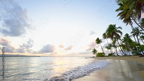 Palm beach against the backdrop of an inspiringly calm sea and sunset sky. A meditative ocean and sky backdrop. Colorful horizon over water. Dreamy sunset sky and relaxing summer sunset mood.