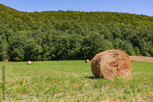 View of meadow in Colfiorito