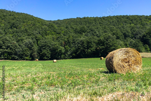 View of meadow in Colfiorito