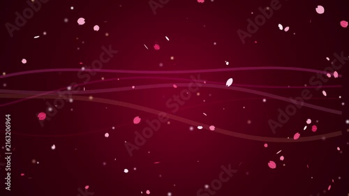 Abstract Falling Sakura Petals Motion Graphics, Falling Cherry Blossom Flow with Curved Waves on Magenta Background