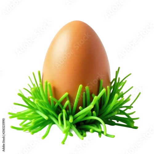 A single brown egg sits atop lush green grass, waiting to be discovered