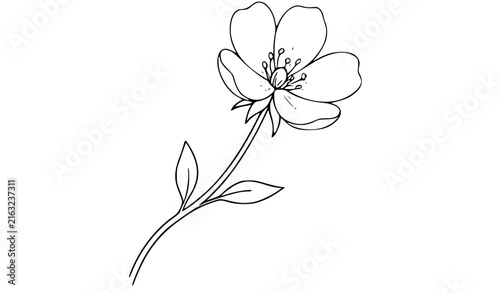 Hand Torn Cotton Paper Bloom Flower with Fibrous Petals black and white Vector