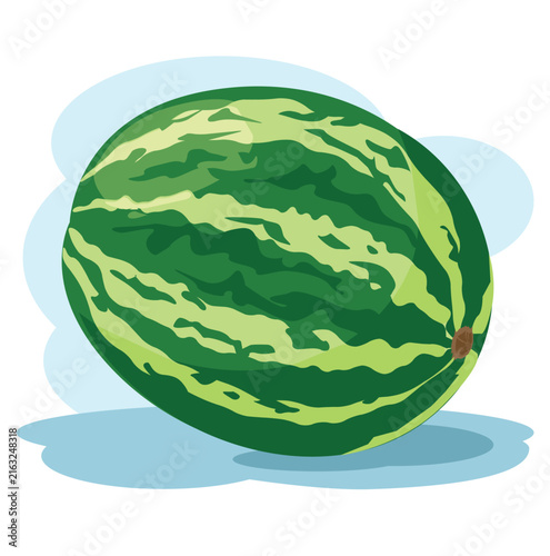 Vector Illustration of Whole Fresh Green Striped Watermelon Ripe Summer Berry