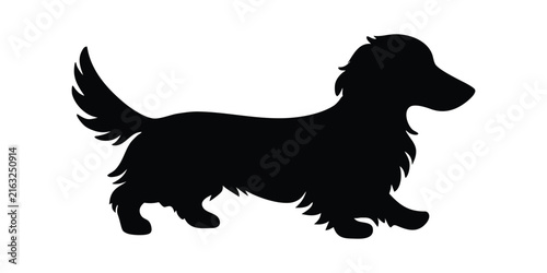 Long haired dachshund dog silhouette vector