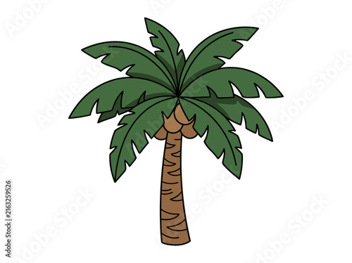 Single isolated palm tree vector illustration, flat doodle style on white background, commercial design element