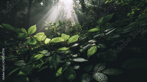 Sunlight filtering through lush green leaves in a forest, Sunlight streams through vibrant green leaves