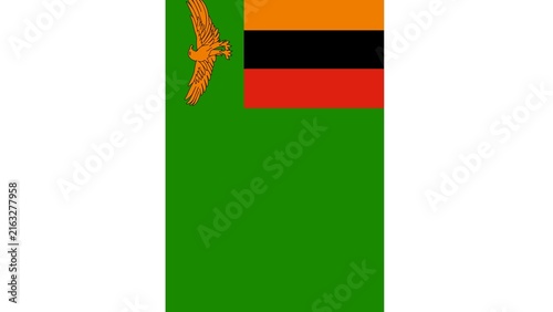 Republic of Zambia national flag isolated on white background. 
