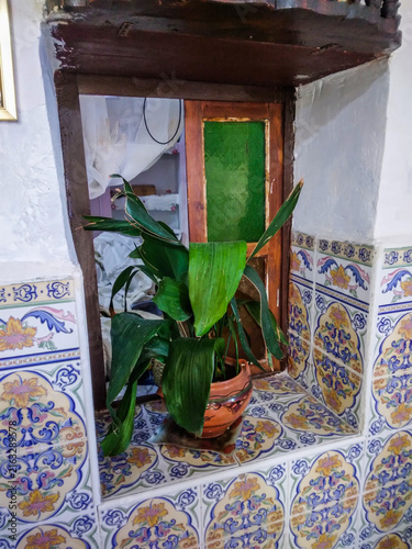 Quadro su tela Potted green plant sits gracefully on a tiled windowsill featuring traditional f