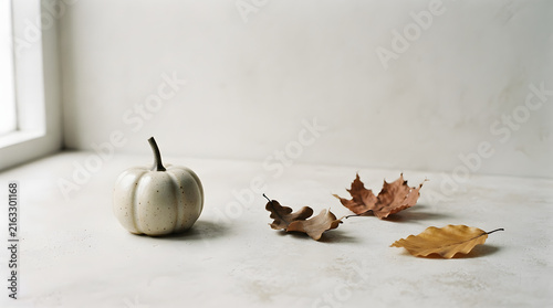 Autumn gourd and scattered fall leaves on white windowsill for seasonal decor and harvest theme