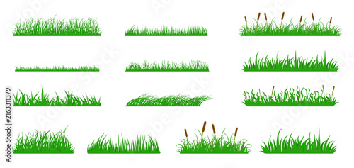 Green grass borders set. Nature seasonal lawn elements, field herbs, reeds and cattails, fresh meadow tufts. Garden grass divider vector illustration set. Public park and outdoor landscape elements