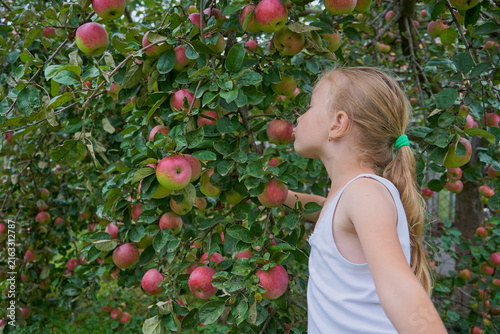 Cute little girl kissing a ripe red apple on a tree branch in the orchard, Happy child enjoying fresh organic apples in autumn garden