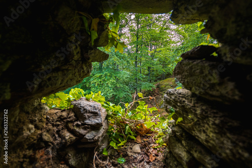 Fotografie Lush Green Forest Landscape View Framed Through Old Stone Castle Window Embrasur