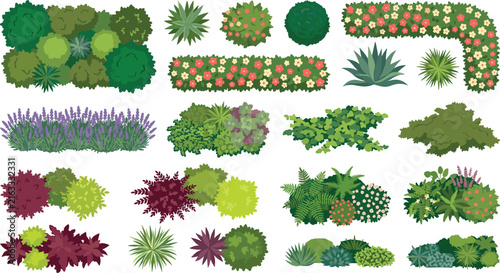 Ornamental Garden Plants and Flowering Shrub Collection for Landscape Design and Outdoor Decoration
