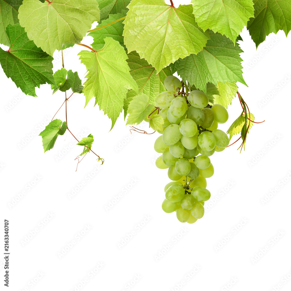 Naklejka premium Grapes and green leaves on grapevine against transparent background