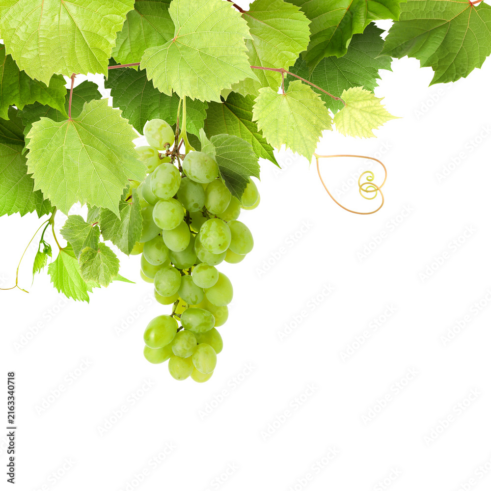 Naklejka premium Grapes and green leaves on grapevine against transparent background