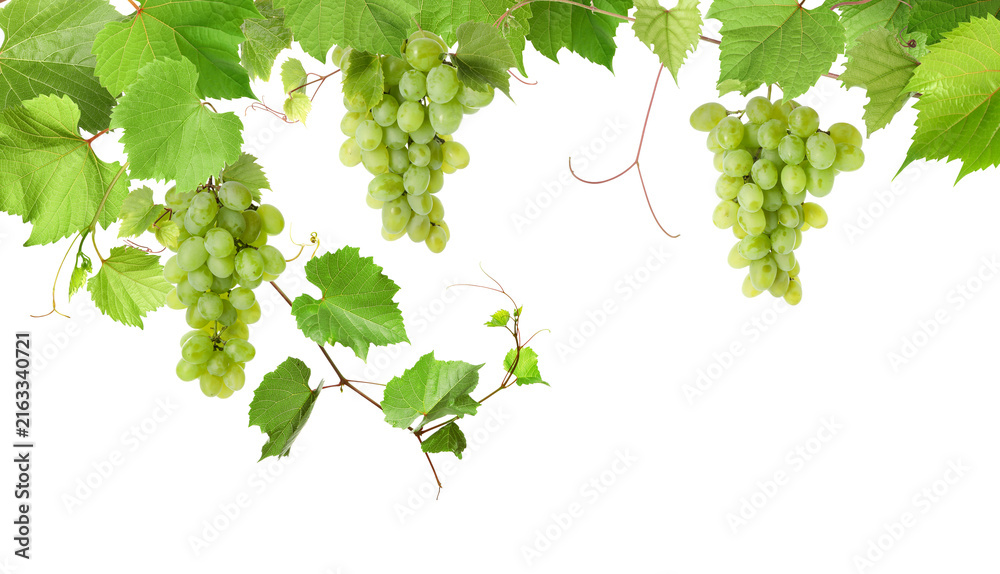 Naklejka premium Grapevine with green leaves and grapes on transparent background