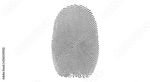 Detailed Fingerprint Illustration with Transparent Background for Biometric Security and Forensic Identification Design Projects