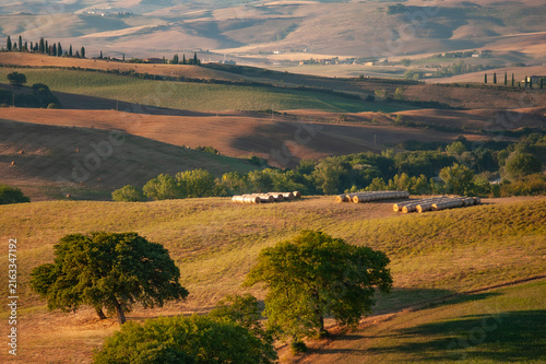 Canvastavla Panorama in Val d'Orcia