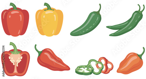 Assorted bell peppers and chili peppers colorful vector illustration on white background