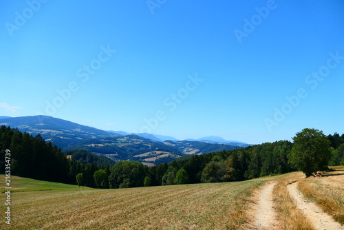 Feldweg durch die Bucklige Welt, Wechselland, Landschaft, Niederösterreich