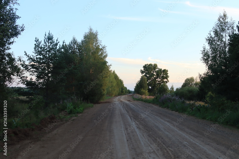 Fototapeta premium road in the countryside