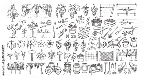 Hand drawn vineyard icons set, rustic winery doodle collection, black and white grape farming vector illustrations for wine labels