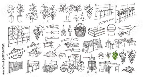 Hand-drawn vineyard icons set, rustic viticulture and winemaking sketches, black and white garden tools and grape harvest vector illustrations