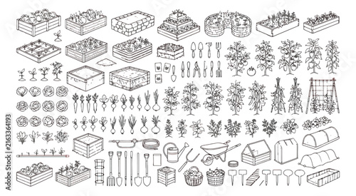 Hand drawn garden vector set, raised bed gardening icons, vegetable patch line art, organic farming and horticulture elements