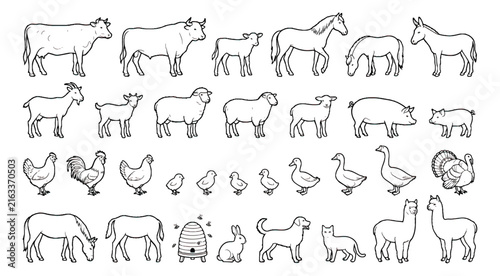 Hand drawn farm animals vector set, minimalist line art livestock collection, rustic barnyard animal icons for organic farming branding