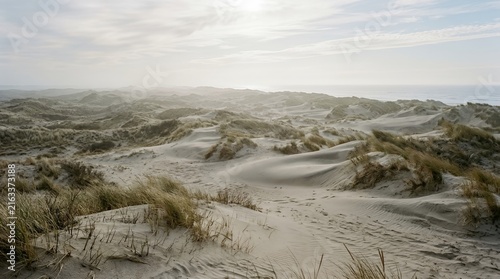 Vast Coastal Sand Dunes Landscape with Marram Grass and Ocean Horizon under a Soft Bright Sky at Morning Time