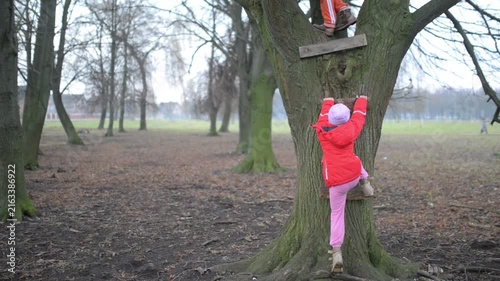 Two little beautiful girls in jackets climb tree