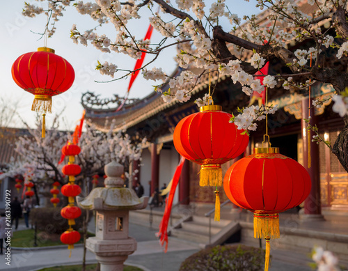 Red Chinese lanterns hanging from tree branches with white flowers, as traditional Asian decorations adorn an outdoor temple, creating a festive atmosphere for celebration and culture.
