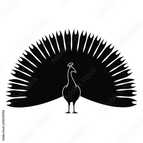 A striking peacock with fully fanned tail feathers is shown as a silhouette