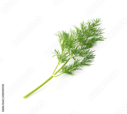 Fresh green dill branches isolated on white, top view.