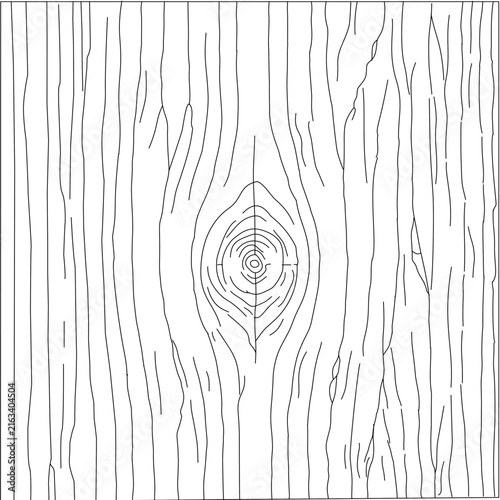 Wood Grain Texture. Hand drawn wood grain texture in clean outline style. Natural timber, wooden plank, and rustic wood surface vector illustration for backgrounds, engraving, woodworking